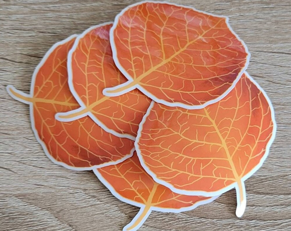 Aspen Leaf Sticker with Clear Background